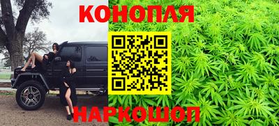 шишки Вышний Волочёк