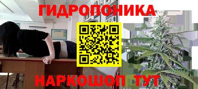 каннабис Владивосток