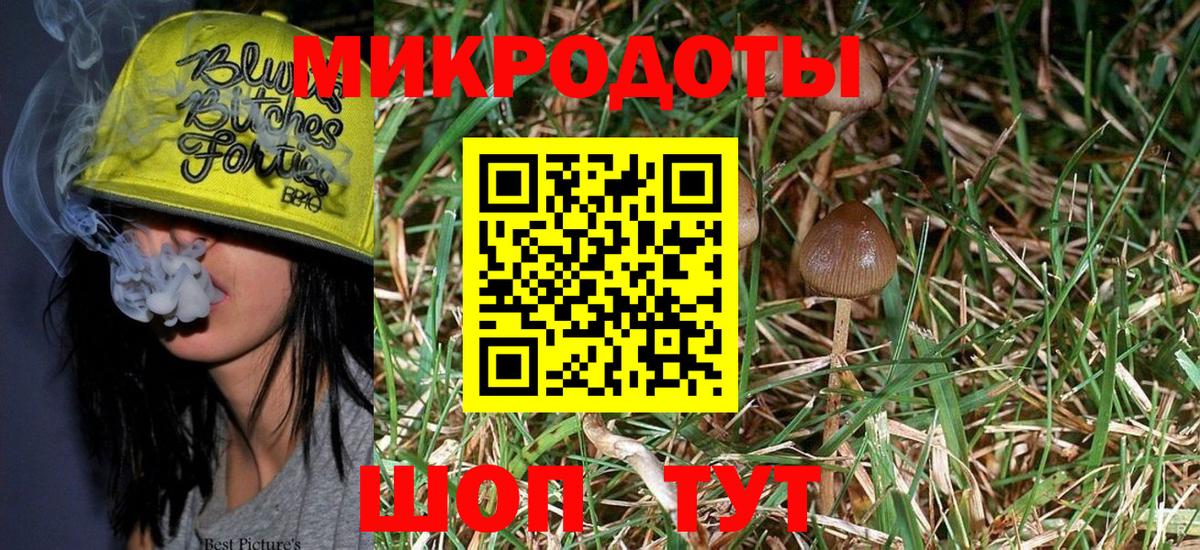 купить наркоту  Вход с VPN  Нижний Тагил  Псилоцибиновые грибы Magic Shrooms 